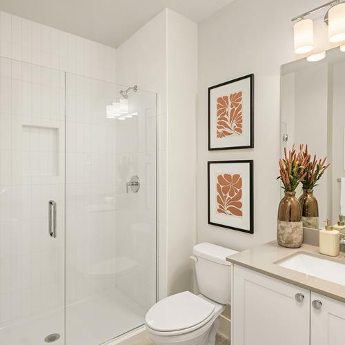 Web_28