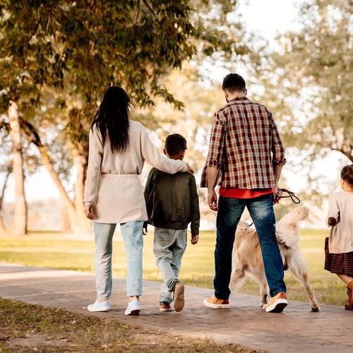 AdobeStock_175204083