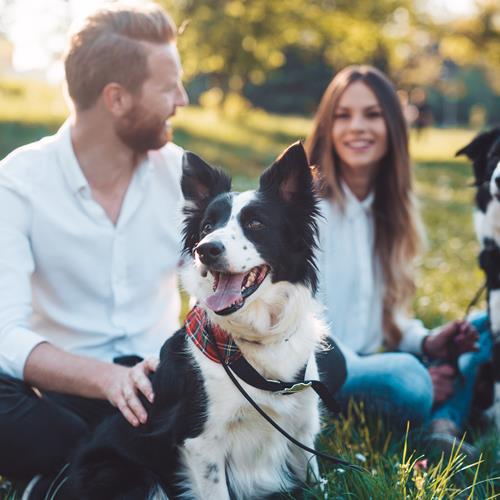 AdobeStock_438060558