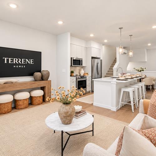 Living-Room-1