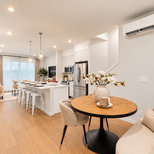 Living_Dining-Room